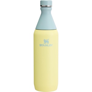 Stanley All Day Slim Bottle 20 oz | Twist On Lid with Leakproof Seal | Slim Design for Travel & Gym | Insulated Stainless Steel | BPA-Free | Daffodil Gloss(Pomelo)