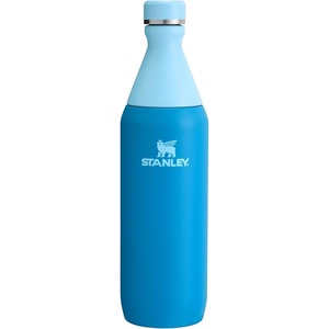 Stanley All Day Slim Bottle 20 oz | Twist On Lid with Leakproof Seal | Slim Design for Travel & Gym | Insulated Stainless Steel | BPA-Free | Daffodil Gloss(Azure)