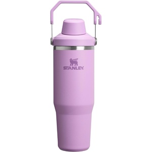 Stanley IceFlow 2.0 Fast Flow Tumbler with Handle 40 oz | Twist On Angled Spout Lid | Leakproof Water Bottle | Insulated Stainless Steel | BPA-Free | Lilac(Lilac)