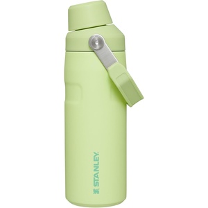 Stanley IceFlow Fast Flow Water Bottle 24 oz | Angled Spout Lid | Lightweight and Leakproof for Travel and Sports | Insulated Stainless Steel | BPA-Free | Tigerlily(Citron)