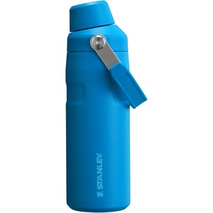 Stanley IceFlow Fast Flow Water Bottle 24 oz | Angled Spout Lid | Lightweight and Leakproof for Travel and Sports | Insulated Stainless Steel | BPA-Free | Tigerlily(Azure)