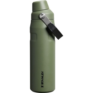 Stanley IceFlow Fast Flow Water Bottle 24 oz | Angled Spout Lid | Lightweight and Leakproof for Travel and Sports | Insulated Stainless Steel | BPA-Free | Tigerlily(Dried Pine)