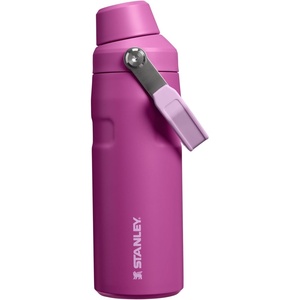 Stanley IceFlow Fast Flow Water Bottle 24 oz | Angled Spout Lid | Lightweight and Leakproof for Travel and Sports | Insulated Stainless Steel | BPA-Free | Tigerlily(Dark Blossom)