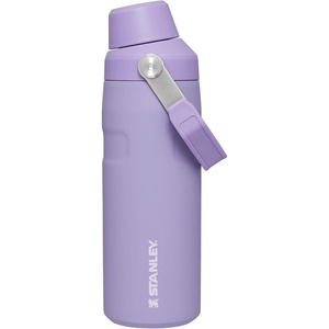 Stanley IceFlow Fast Flow Water Bottle 24 oz | Angled Spout Lid | Lightweight and Leakproof for Travel and Sports | Insulated Stainless Steel | BPA-Free | Tigerlily(Lavender)