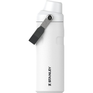 Stanley IceFlow Fast Flow Water Bottle 24 oz | Angled Spout Lid | Lightweight and Leakproof for Travel and Sports | Insulated Stainless Steel | BPA-Free | Tigerlily(Chalk)