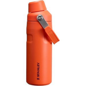 Stanley IceFlow Fast Flow Water Bottle 24 oz | Angled Spout Lid | Lightweight and Leakproof for Travel and Sports | Insulated Stainless Steel | BPA-Free | Tigerlily(Tigerlily Plum)