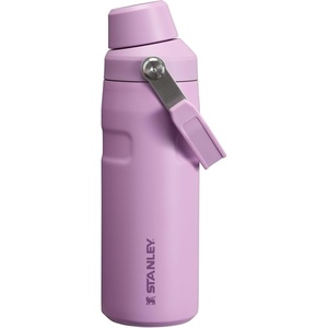 Stanley IceFlow Fast Flow Water Bottle 24 oz | Angled Spout Lid | Lightweight and Leakproof for Travel and Sports | Insulated Stainless Steel | BPA-Free | Tigerlily(Lilac)