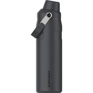 Stanley IceFlow Fast Flow Water Bottle 24 oz | Angled Spout Lid | Lightweight and Leakproof for Travel and Sports | Insulated Stainless Steel | BPA-Free | Tigerlily(Mist Mesh)