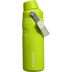 Stanley IceFlow Fast Flow Water Bottle 24 oz | Angled Spout Lid | Lightweight and Leakproof for Travel and Sports | Insulated Stainless Steel | BPA-Free | Tigerlily(Chartreuse)