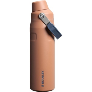 Stanley IceFlow Fast Flow Water Bottle 24 oz | Angled Spout Lid | Lightweight and Leakproof for Travel and Sports | Insulated Stainless Steel | BPA-Free | Tigerlily(Toast)