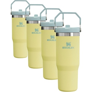 Stanley IceFlow Flip Straw Tumbler with Handle 30 oz | Twist On Lid and Flip Up Straw | Leak Resistant Water Bottle | Insulated Stainless Steel |BPA-Free | Pomelo(30 Ounces (Pack of 4))