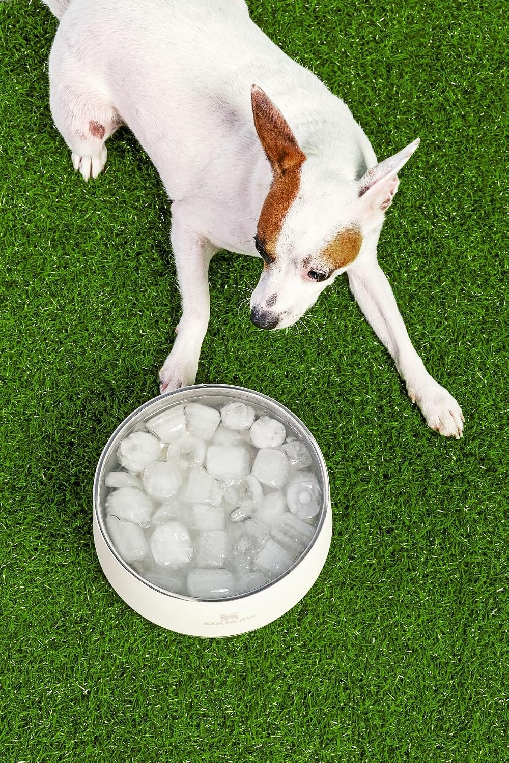 image:imageSTANLEY The Pet Bowl 24 oz 3 cups 07 L Sahara Plume