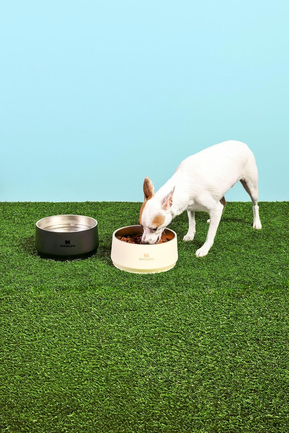 image:imageSTANLEY The Pet Bowl 24 oz 3 cups 07 L Sahara Plume