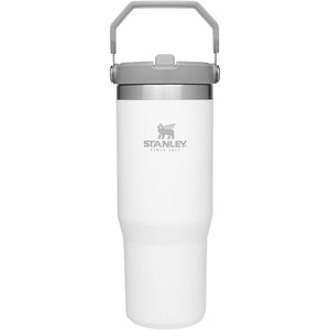 Stanley IceFlow Flip Straw Tumbler with Handle 30 oz | Twist On Lid and Flip Up Straw | Leak Resistant Water Bottle | Insulated Stainless Steel |BPA-Free | Polar(30 Ounces)