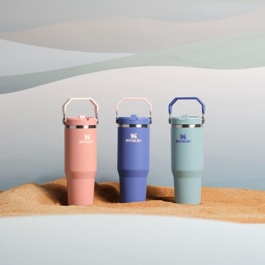 image:imageSTANLEY IceFlow 20 Flip Straw Tumbler 30 oz Pacific Hypergrip Easy Carry Handle Twist On Lid and Flip Up Straw Leak Resistant Water Bottle Insulated Stainless Steel BPAFreeBlue Cactus