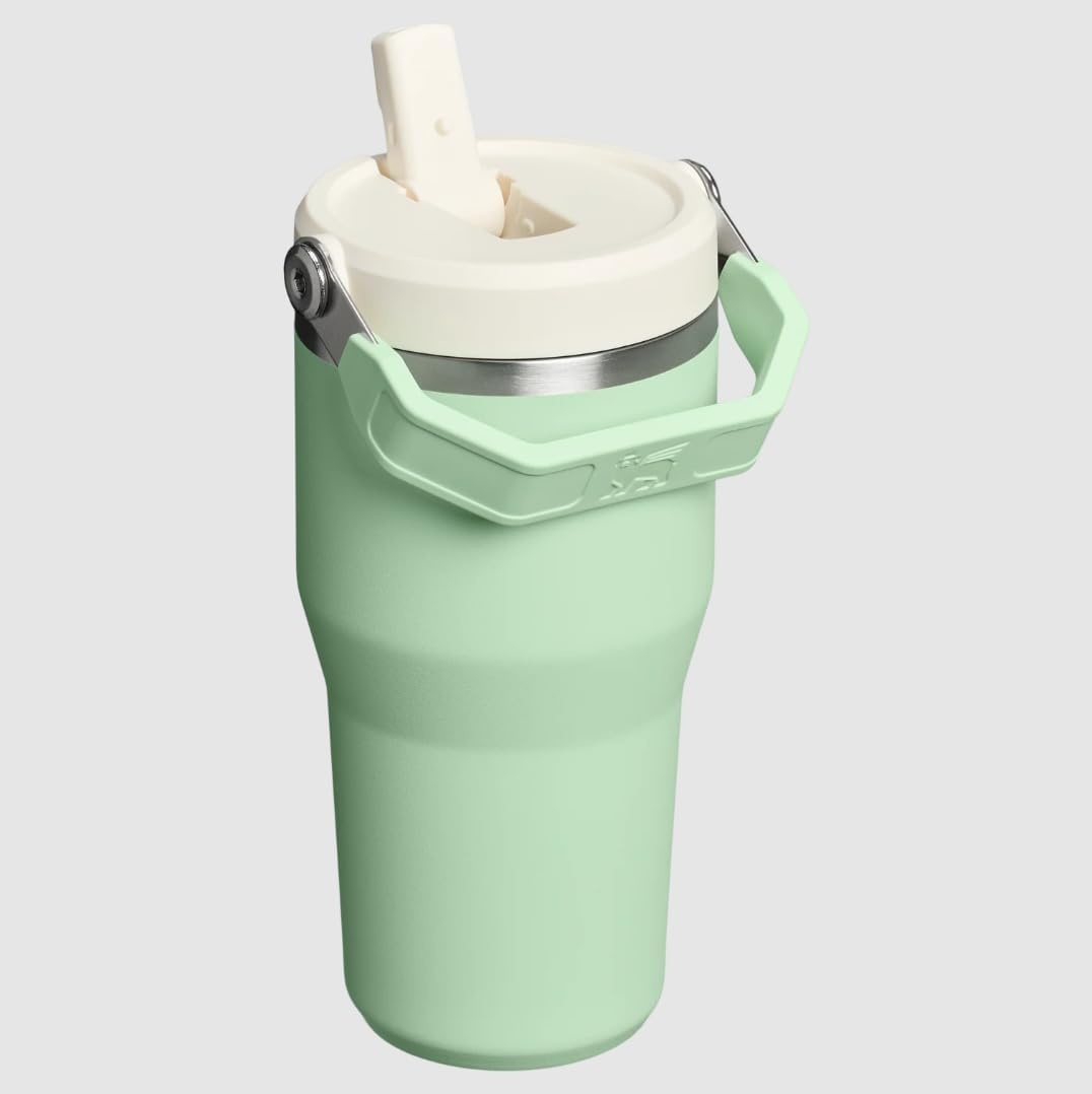 image:imageSTANLEY IceFlow 20 Flip Straw Tumbler 30 oz Pacific Hypergrip Easy Carry Handle Twist On Lid and Flip Up Straw Leak Resistant Water Bottle Insulated Stainless Steel BPAFreePistachio