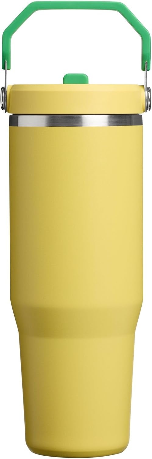 image:imageSTANLEY IceFlow 20 Flip Straw Tumbler 30 oz Pacific Hypergrip Easy Carry Handle Twist On Lid and Flip Up Straw Leak Resistant Water Bottle Insulated Stainless Steel BPAFreeTeam Yellow Green
