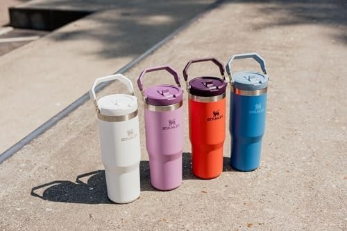 image:imageSTANLEY IceFlow 20 Flip Straw Tumbler 30 oz Pacific Hypergrip Easy Carry Handle Twist On Lid and Flip Up Straw Leak Resistant Water Bottle Insulated Stainless Steel BPAFreeTigerlily Plum