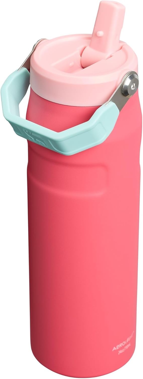 image:imageSTANLEY IceFlow Flip Straw 20 Bottle 24 oz Purple Umbra Easy Carry Handle Twist On Lid and Flip Up Straw Lightweight Water Bottle Insulated Stainless Steel BPAFreeWatermelon