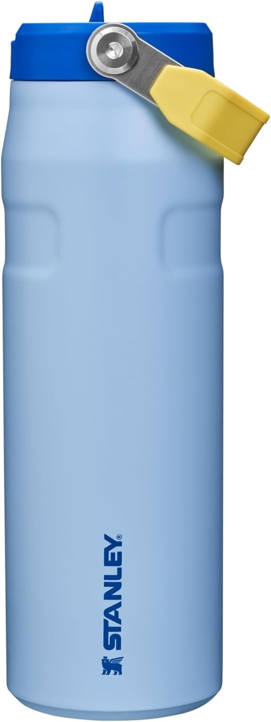image:imageSTANLEY IceFlow Flip Straw 20 Bottle 24 oz Purple Umbra Easy Carry Handle Twist On Lid and Flip Up Straw Lightweight Water Bottle Insulated Stainless Steel BPAFreeCornflower Admiral Blue