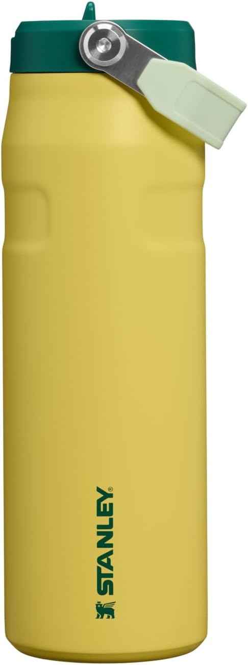 image:imageSTANLEY IceFlow Flip Straw 20 Bottle 24 oz Purple Umbra Easy Carry Handle Twist On Lid and Flip Up Straw Lightweight Water Bottle Insulated Stainless Steel BPAFreeDaffodil Emerald