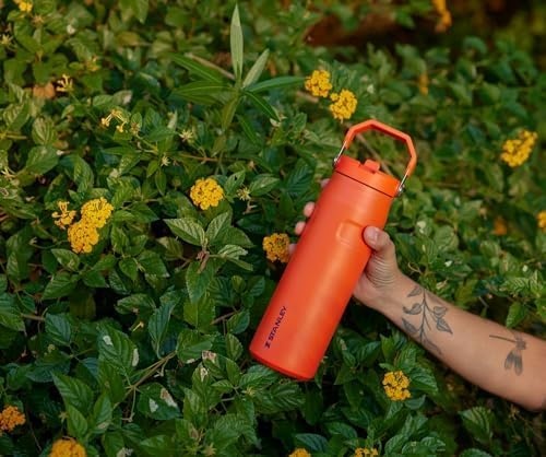image:imageSTANLEY IceFlow Flip Straw 20 Bottle 24 oz Purple Umbra Easy Carry Handle Twist On Lid and Flip Up Straw Lightweight Water Bottle Insulated Stainless Steel BPAFreeLilac