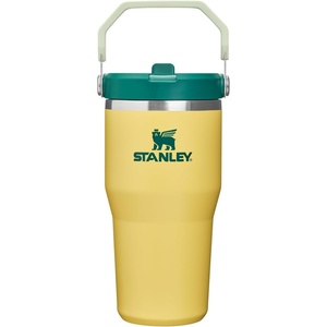 STANLEY IceFlow 2.0 Flip Straw Tumbler, 30 oz, Pacific Hypergrip | Easy Carry Handle | Twist On Lid and Flip Up Straw | Leak Resistant Water Bottle | Insulated Stainless Steel | BPA-Free(Daffodil Emerald)