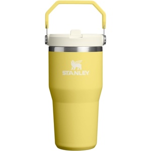 STANLEY IceFlow 2.0 Flip Straw Tumbler, 30 oz, Pacific Hypergrip | Easy Carry Handle | Twist On Lid and Flip Up Straw | Leak Resistant Water Bottle | Insulated Stainless Steel | BPA-Free(Daffodil)