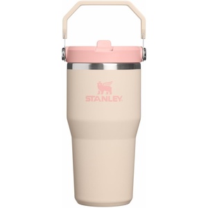 STANLEY IceFlow 2.0 Flip Straw Tumbler, 30 oz, Pacific Hypergrip | Easy Carry Handle | Twist On Lid and Flip Up Straw | Leak Resistant Water Bottle | Insulated Stainless Steel | BPA-Free(Champagne)