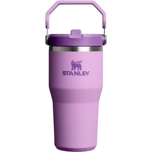 STANLEY IceFlow 2.0 Flip Straw Tumbler, 30 oz, Pacific Hypergrip | Easy Carry Handle | Twist On Lid and Flip Up Straw | Leak Resistant Water Bottle | Insulated Stainless Steel | BPA-Free(Lilac 2.0)