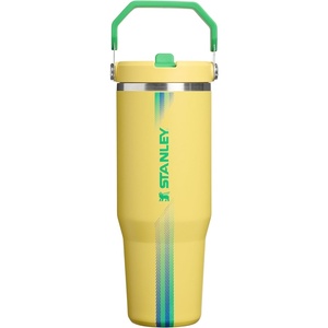 STANLEY IceFlow 2.0 Flip Straw Tumbler, 30 oz, Pacific Hypergrip | Easy Carry Handle | Twist On Lid and Flip Up Straw | Leak Resistant Water Bottle | Insulated Stainless Steel | BPA-Free(Team Yellow Green)
