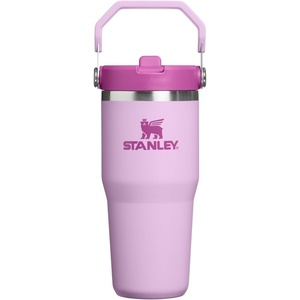 STANLEY IceFlow 2.0 Flip Straw Tumbler, 30 oz, Pacific Hypergrip | Easy Carry Handle | Twist On Lid and Flip Up Straw | Leak Resistant Water Bottle | Insulated Stainless Steel | BPA-Free(Soft Orchid)