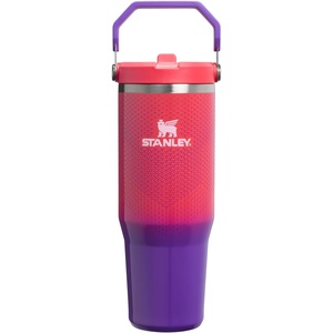 STANLEY IceFlow 2.0 Flip Straw Tumbler, 30 oz, Pacific Hypergrip | Easy Carry Handle | Twist On Lid and Flip Up Straw | Leak Resistant Water Bottle | Insulated Stainless Steel | BPA-Free(Vermilion Hypergrip)