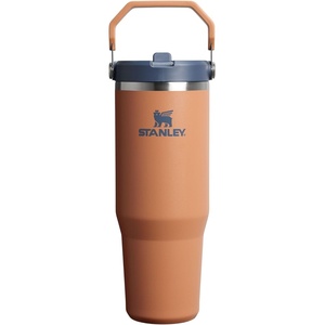STANLEY IceFlow 2.0 Flip Straw Tumbler, 30 oz, Pacific Hypergrip | Easy Carry Handle | Twist On Lid and Flip Up Straw | Leak Resistant Water Bottle | Insulated Stainless Steel | BPA-Free(Toast)