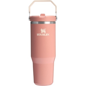 STANLEY IceFlow 2.0 Flip Straw Tumbler, 30 oz, Pacific Hypergrip | Easy Carry Handle | Twist On Lid and Flip Up Straw | Leak Resistant Water Bottle | Insulated Stainless Steel | BPA-Free(Sienna)