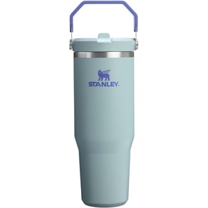 STANLEY IceFlow 2.0 Flip Straw Tumbler, 30 oz, Pacific Hypergrip | Easy Carry Handle | Twist On Lid and Flip Up Straw | Leak Resistant Water Bottle | Insulated Stainless Steel | BPA-Free(Blue Cactus)
