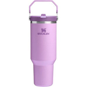 STANLEY IceFlow 2.0 Flip Straw Tumbler, 30 oz, Pacific Hypergrip | Easy Carry Handle | Twist On Lid and Flip Up Straw | Leak Resistant Water Bottle | Insulated Stainless Steel | BPA-Free(라일락 2.0)