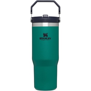 STANLEY IceFlow 2.0 Flip Straw Tumbler, 30 oz, Pacific Hypergrip | Easy Carry Handle | Twist On Lid and Flip Up Straw | Leak Resistant Water Bottle | Insulated Stainless Steel | BPA-Free(Tidepool)