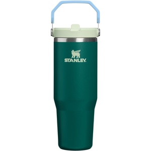 STANLEY IceFlow 2.0 Flip Straw Tumbler, 30 oz, Pacific Hypergrip | Easy Carry Handle | Twist On Lid and Flip Up Straw | Leak Resistant Water Bottle | Insulated Stainless Steel | BPA-Free(Honeydew Garden)