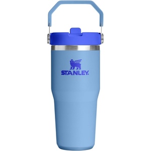 STANLEY IceFlow 2.0 Flip Straw Tumbler, 30 oz, Pacific Hypergrip | Easy Carry Handle | Twist On Lid and Flip Up Straw | Leak Resistant Water Bottle | Insulated Stainless Steel | BPA-Free(Blue Sky)