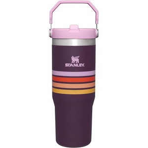 STANLEY IceFlow 2.0 Flip Straw Tumbler, 30 oz, Pacific Hypergrip | Easy Carry Handle | Twist On Lid and Flip Up Straw | Leak Resistant Water Bottle | Insulated Stainless Steel | BPA-Free(Plum Stripe)