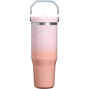STANLEY IceFlow 2.0 Flip Straw Tumbler, 30 oz, Pacific Hypergrip | Easy Carry Handle | Twist On Lid and Flip Up Straw | Leak Resistant Water Bottle | Insulated Stainless Steel | BPA-Free(Sorbet Plus)