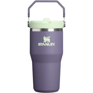 STANLEY IceFlow 2.0 Flip Straw Tumbler, 30 oz, Pacific Hypergrip | Easy Carry Handle | Twist On Lid and Flip Up Straw | Leak Resistant Water Bottle | Insulated Stainless Steel | BPA-Free(Purple Umbra)