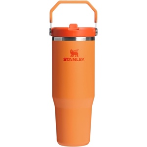 STANLEY IceFlow 2.0 Flip Straw Tumbler, 30 oz, Pacific Hypergrip | Easy Carry Handle | Twist On Lid and Flip Up Straw | Leak Resistant Water Bottle | Insulated Stainless Steel | BPA-Free(Goldenrod Coral)