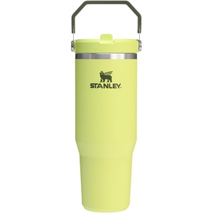 STANLEY IceFlow 2.0 Flip Straw Tumbler, 30 oz, Pacific Hypergrip | Easy Carry Handle | Twist On Lid and Flip Up Straw | Leak Resistant Water Bottle | Insulated Stainless Steel | BPA-Free(Prickly Pear)