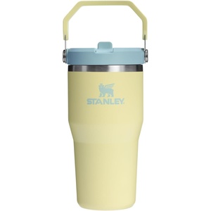 STANLEY IceFlow 2.0 Flip Straw Tumbler, 30 oz, Pacific Hypergrip | Easy Carry Handle | Twist On Lid and Flip Up Straw | Leak Resistant Water Bottle | Insulated Stainless Steel | BPA-Free(Pomelo 2.0)