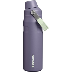 STANLEY IceFlow Fast Flow Bottle, 24 oz, Purple Umbra | Angled Spout Lid | Lightweight and Leakproof for Travel and Sports | Easy Carry Handle | Insulated Stainless Steel | BPA-Free