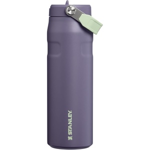 STANLEY IceFlow Flip Straw 2.0 Bottle, 24 oz, Purple Umbra | Easy Carry Handle | Twist On Lid and Flip Up Straw | Lightweight Water Bottle | Insulated Stainless Steel | BPA-Free(Purple Umbra)