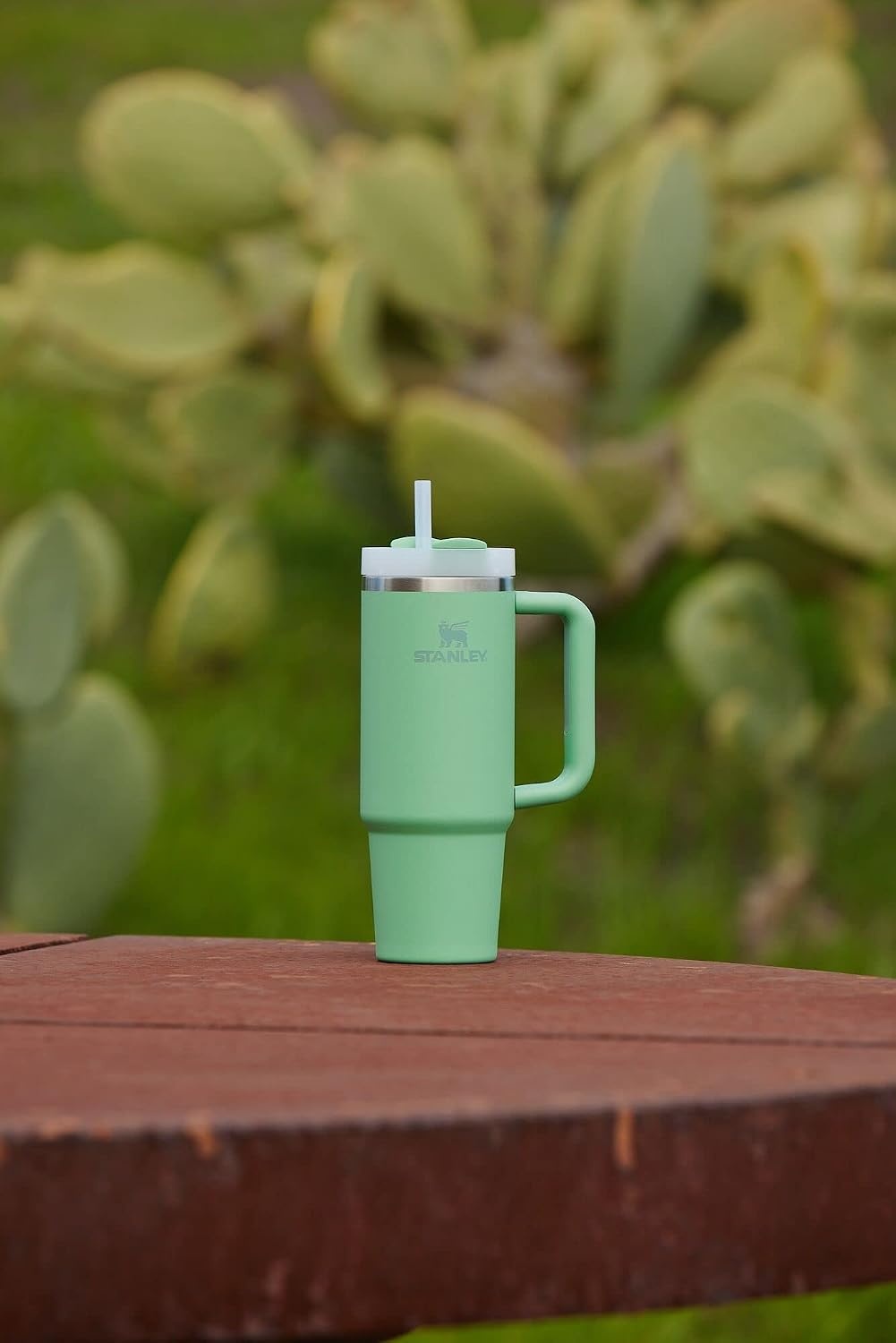 image:imageSTANLEY Quencher H20 Flow State Tumbler 20 oz Frost SprinkleJade