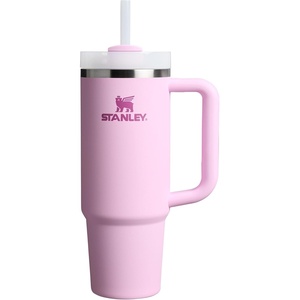 STANLEY Quencher H2.0 Flow State Tumbler, 20 oz, Frost Sprinkle(Cherry Blossom)